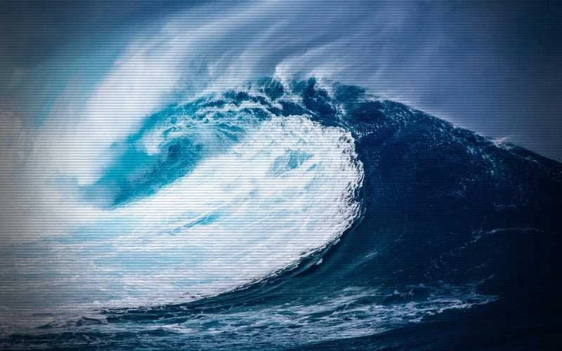 Το μυστηριώδες θαλάσσιο τέρας της Χιλής…